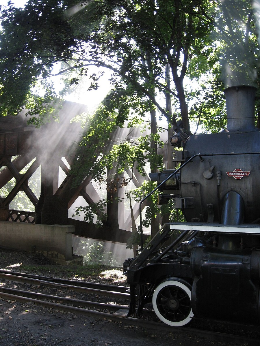Delaware River Railroad Excursions railway photograph